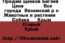 Продам щенков Биглей › Цена ­ 15 000 - Все города, Вяземский р-н Животные и растения » Собаки   . Крым,Старый Крым